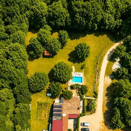 Holiday Home Green *